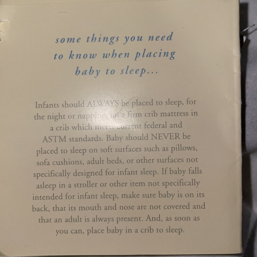 Pottery Barn Kids Pillowcase - Picture 6 of 7